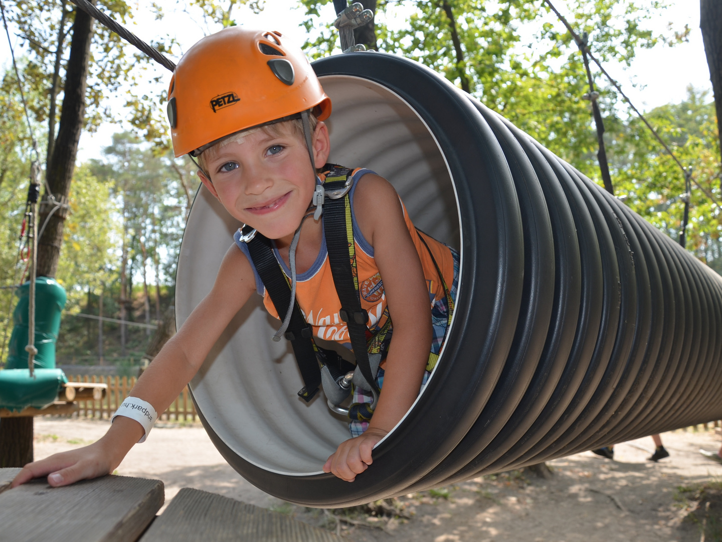 Kletterwald