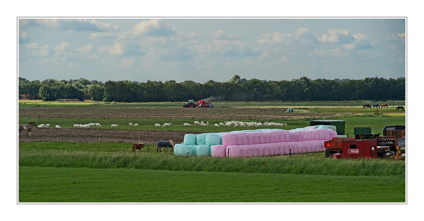 KleurLandschap