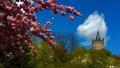 Kleve im Frühling