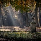 Kleve, Niederrhein: Herbst im Forstgarten