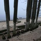 Kliffwächter, Strand von Mi&#281;dzyzdroje, Polen