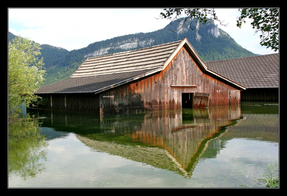 Klimakathastrophe. Eine unbequeme Wahrheit #02