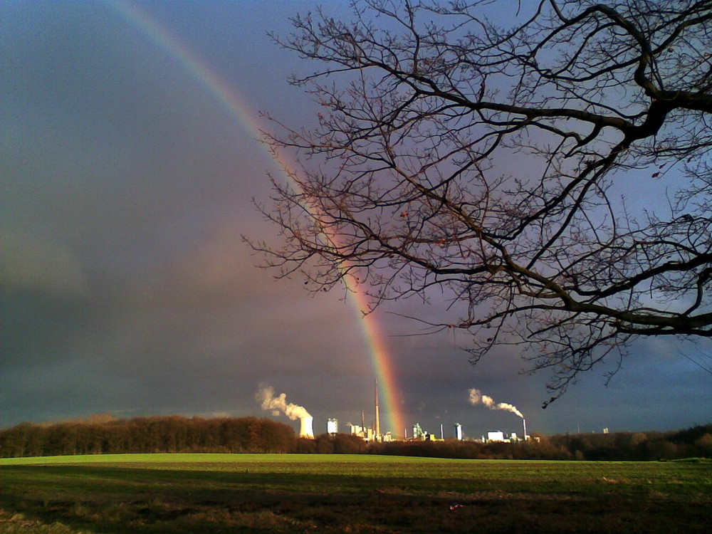 Klimakiller Nr. 1 - der Weg daraus...