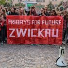 Klimastreik (1)