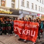 Klimastreik (4)