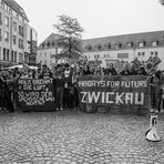 Klimastreik (5)