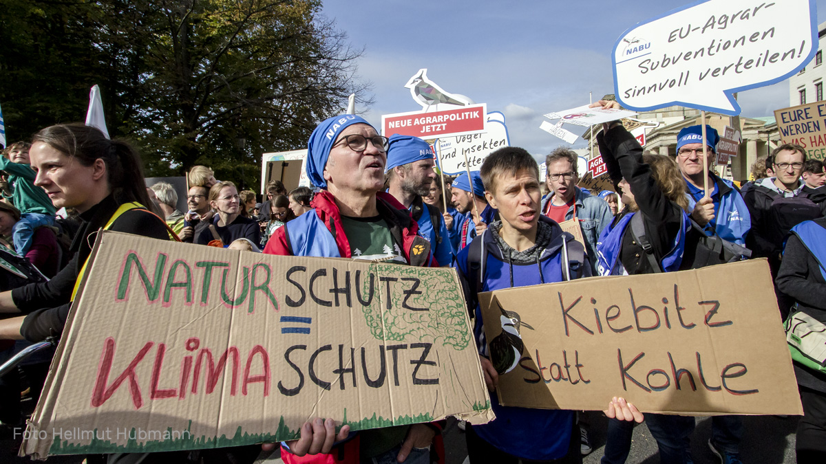 KLIMASTREIK BERLIN 2019 #11