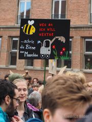 Klimastreik Kiel_11