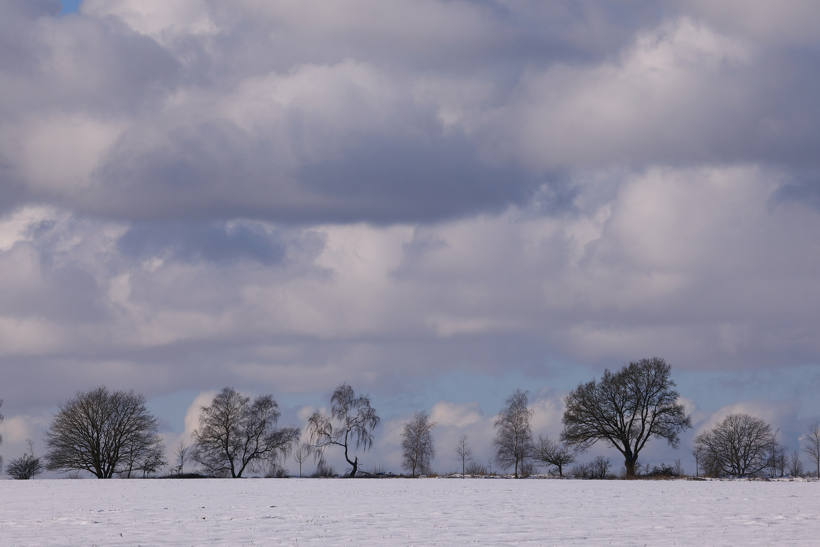 Klimawandel 