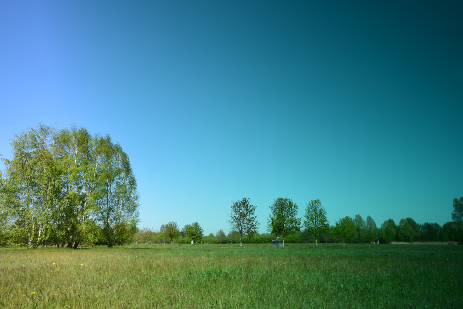 Klimawandel in Hannover