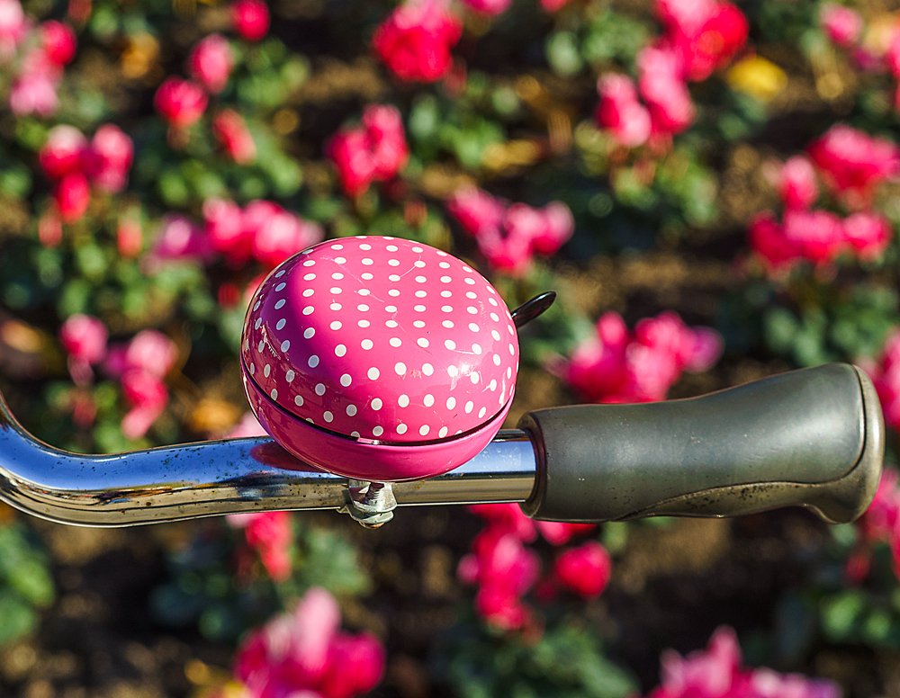 KlingelBlume oder BlumenKlingel?