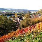 Klingenberg Landschaft Ende Oktober 2020