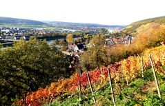 Klingenberg Landschaft Ende Oktober 2020