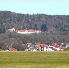 Klinik umgeben von Wald