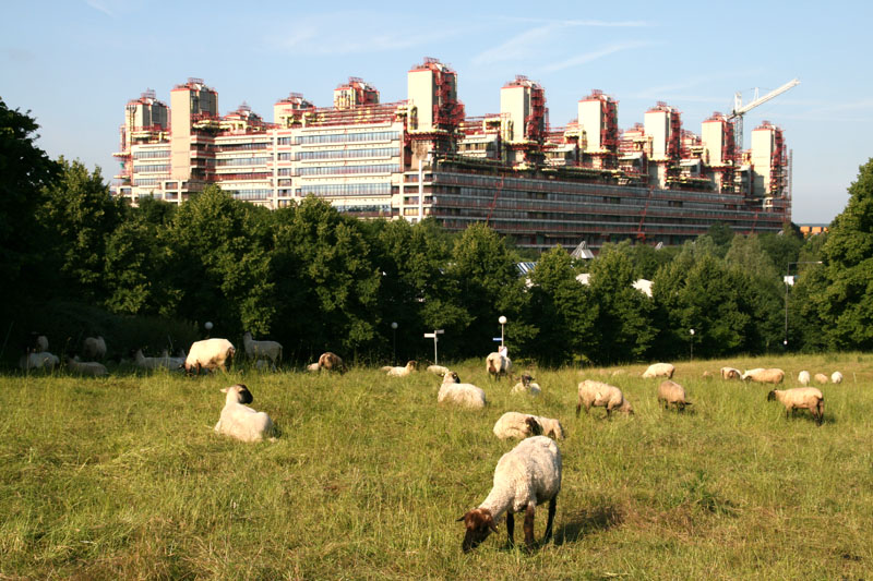 Klinikum