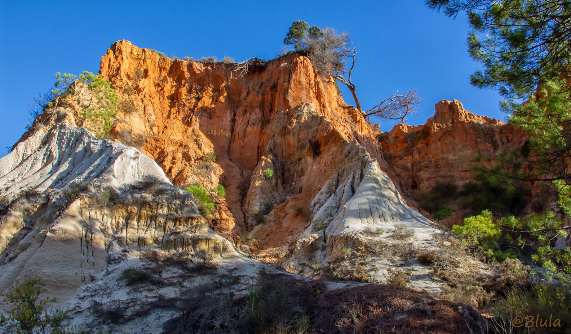 Klippen des Praia da Falésia (1)