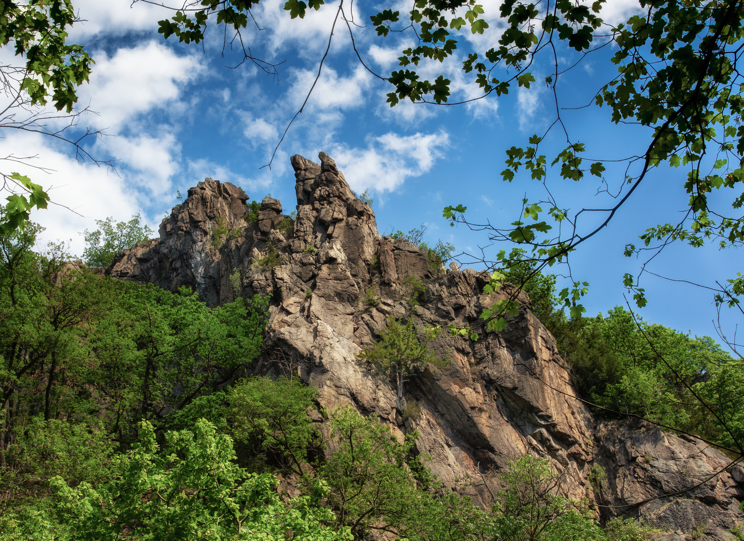 Klippen im Bodetal