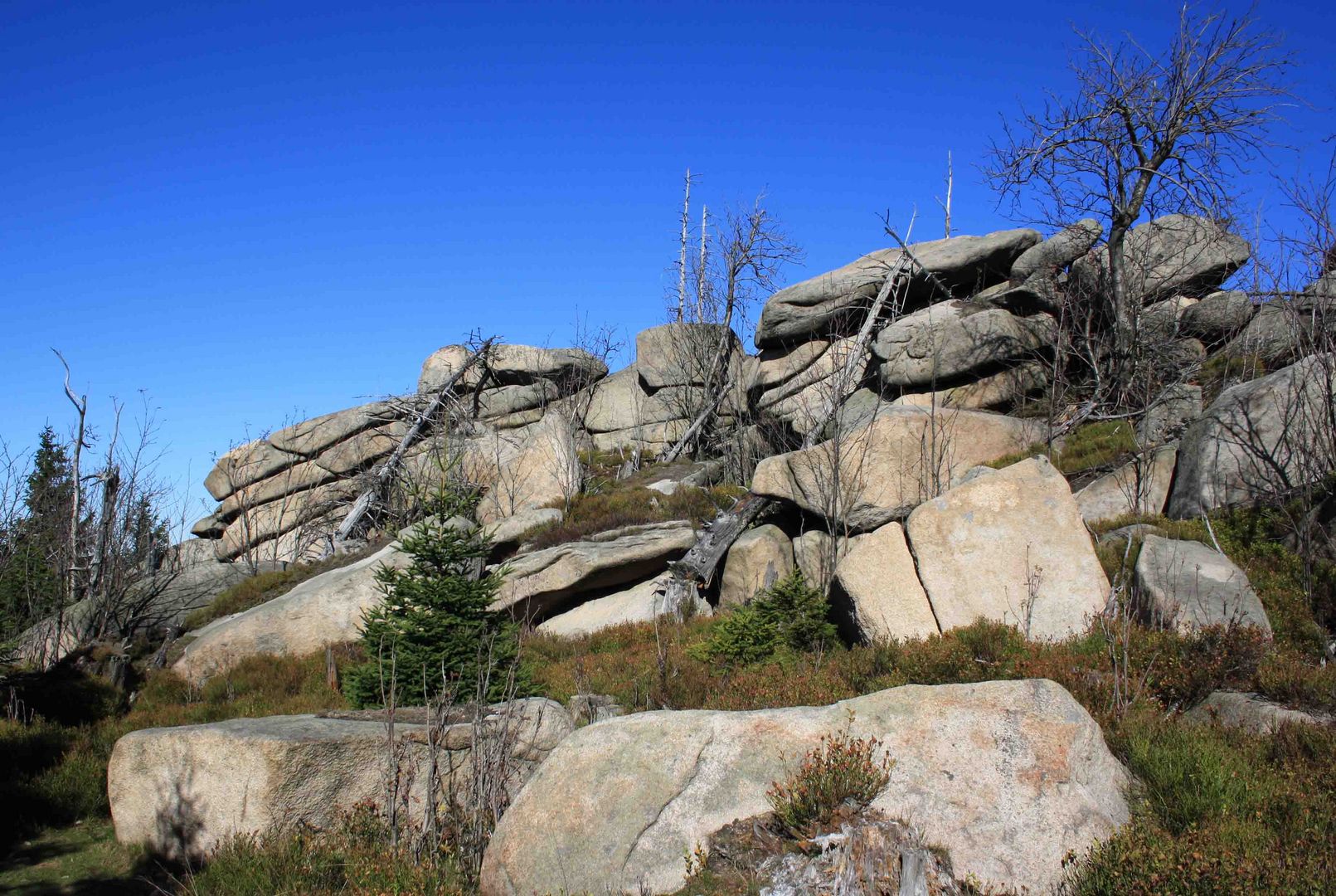 Klippen im Harz