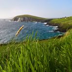 Klippen mit grünem Gras im Vordergrund; Kerry, Irland