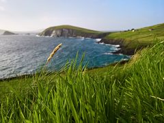 Klippen mit grünem Gras im Vordergrund; Kerry, Irland