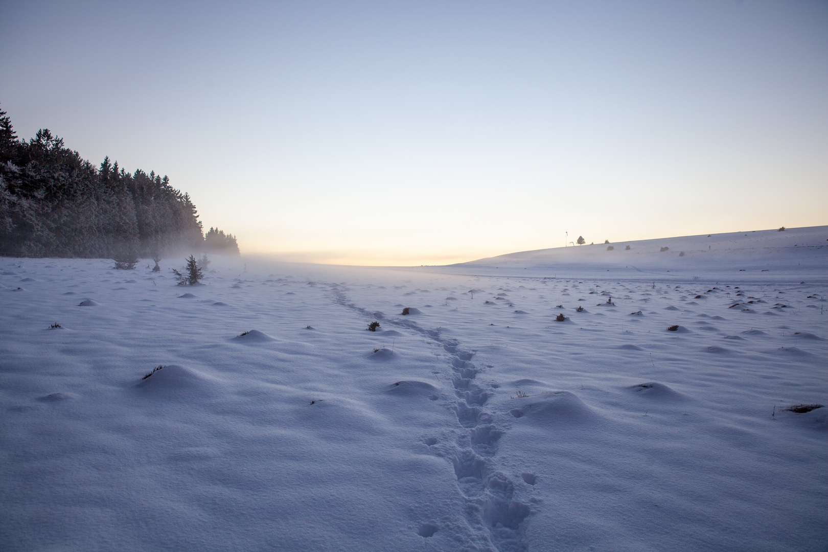 Klippeneck im Winter