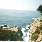 Klippenspringer in Acapulco
