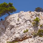 Klippenvorsprung Naturpark Telašcica auf Dugi Otok