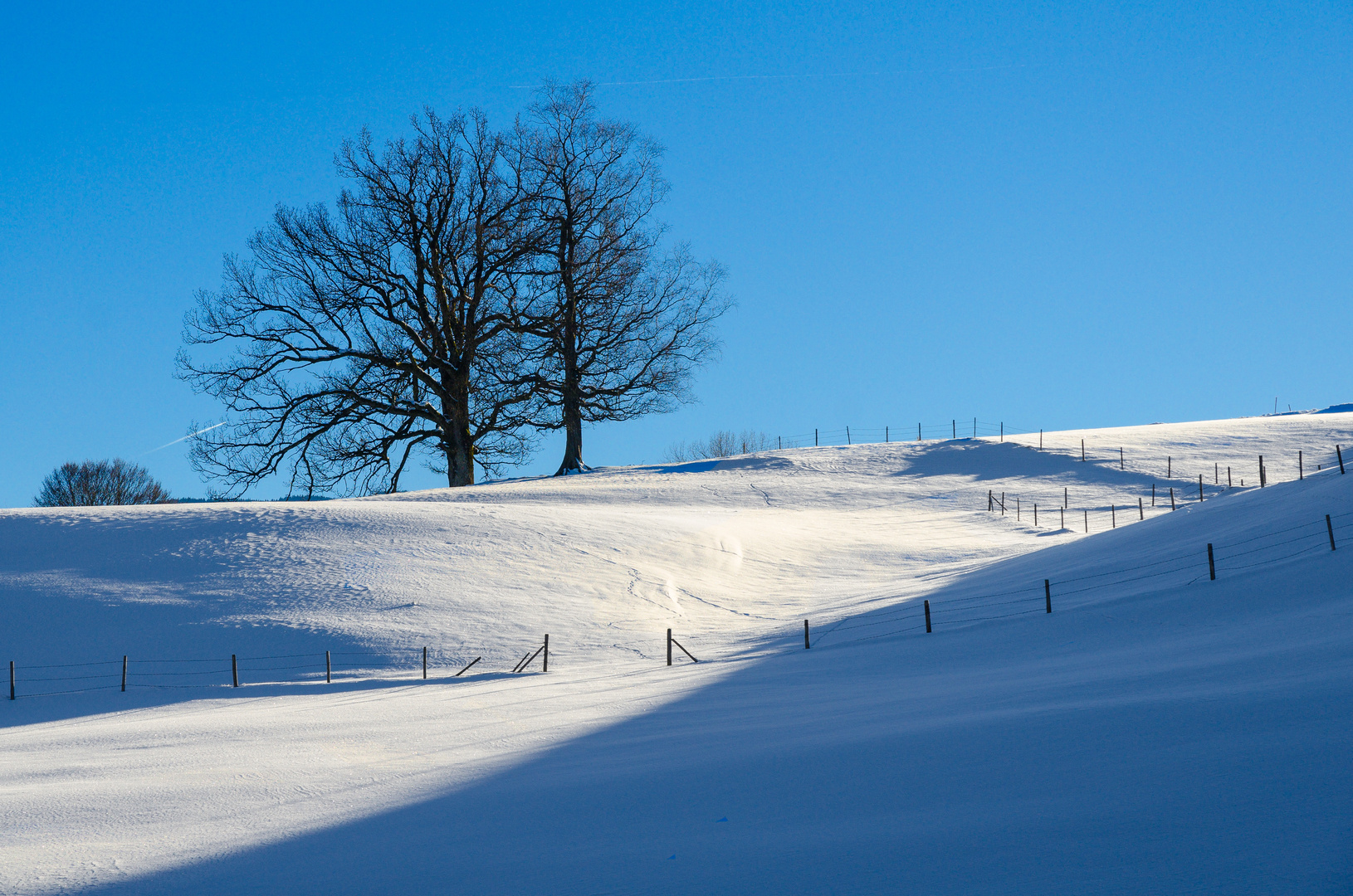 Klirrend kalt - aber sonnig