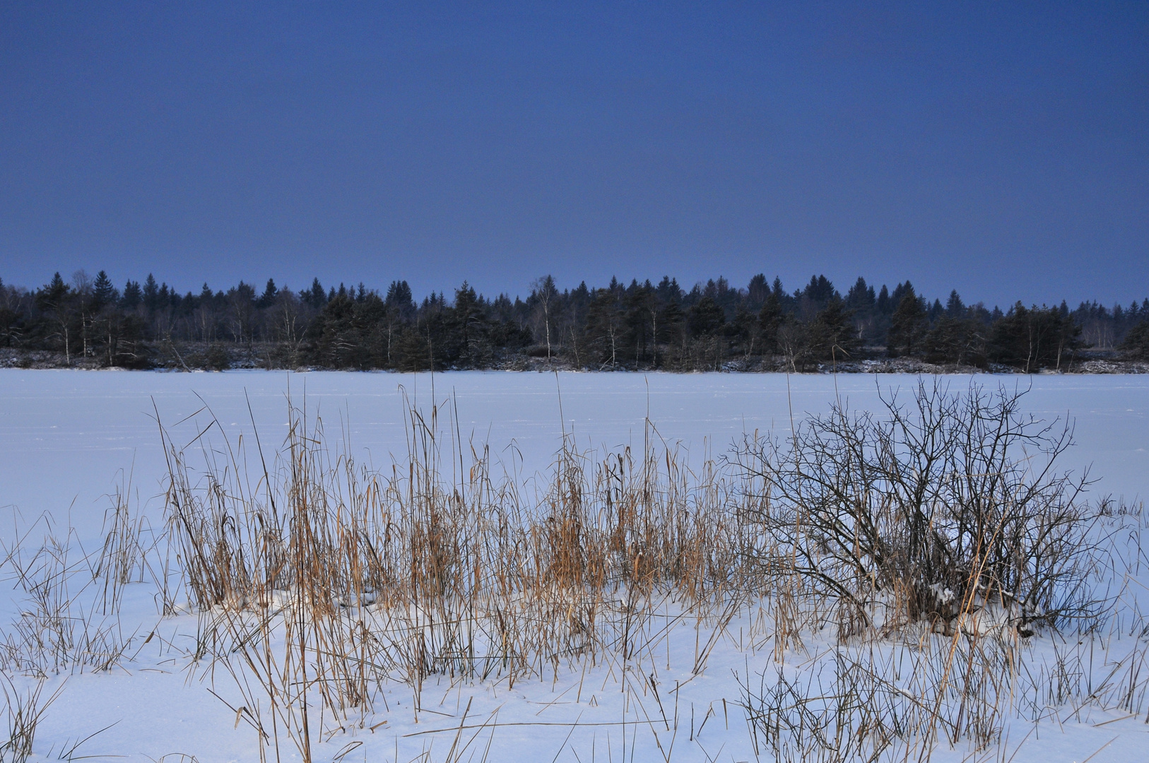 klirrende Kälte