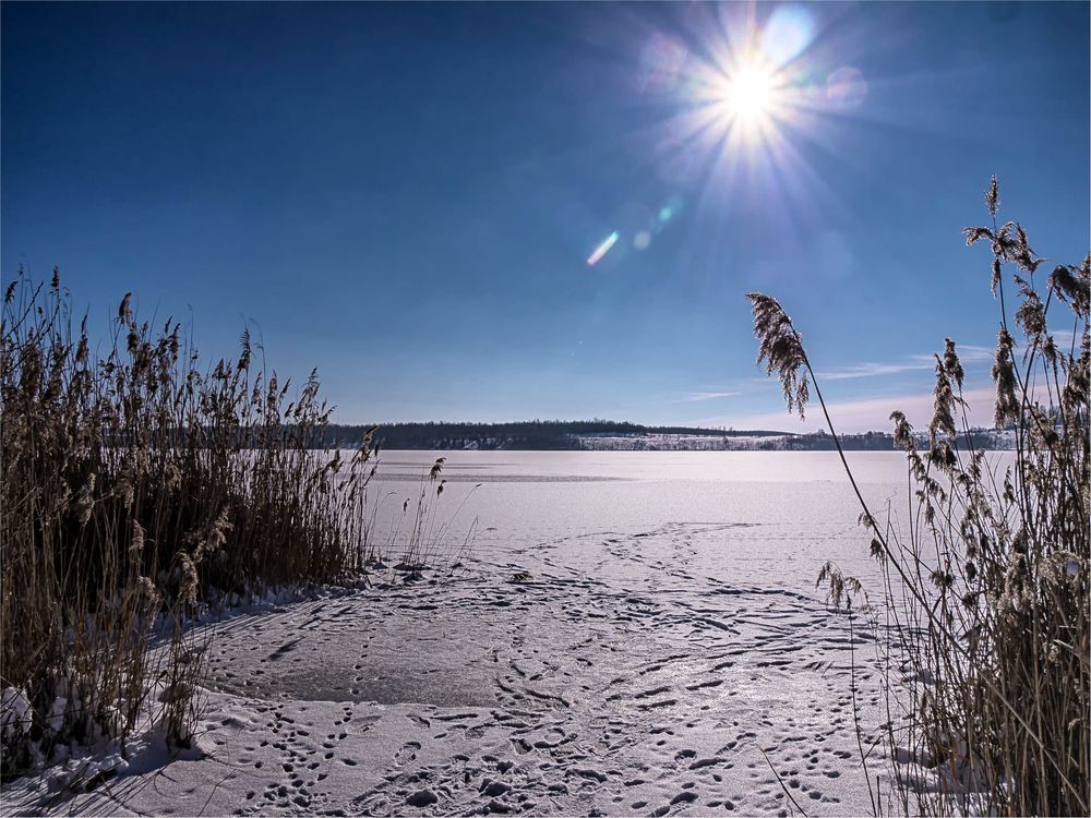 klirrende Kälte ... Foto & Bild | gefroren, winter, schnee Bilder auf ...