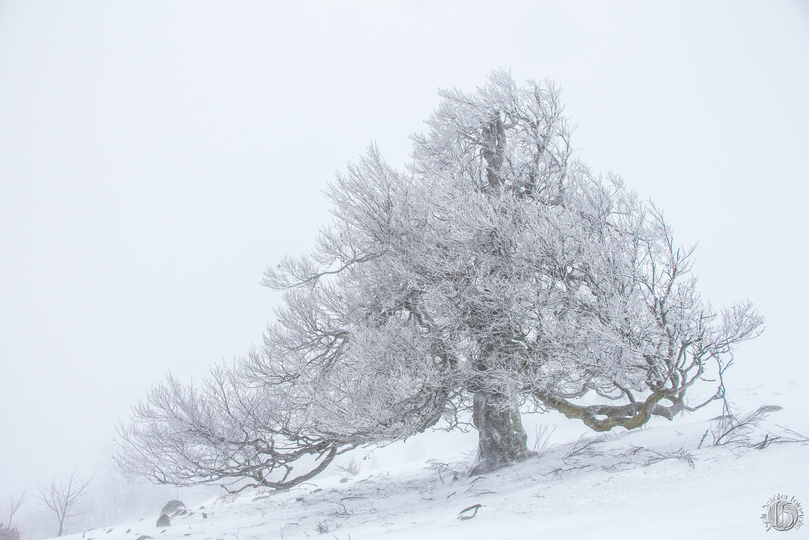 Klirrende Kälte in der Rhön 