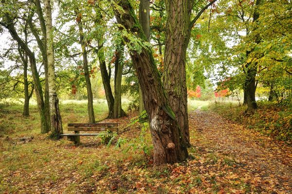 klitzekleine Bankgeschichen