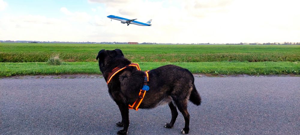 KLM Embraer