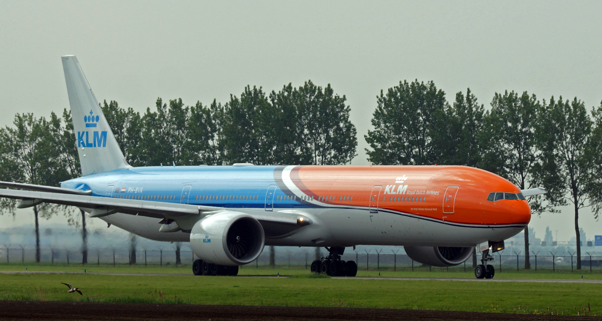 KLM / Orange Pride