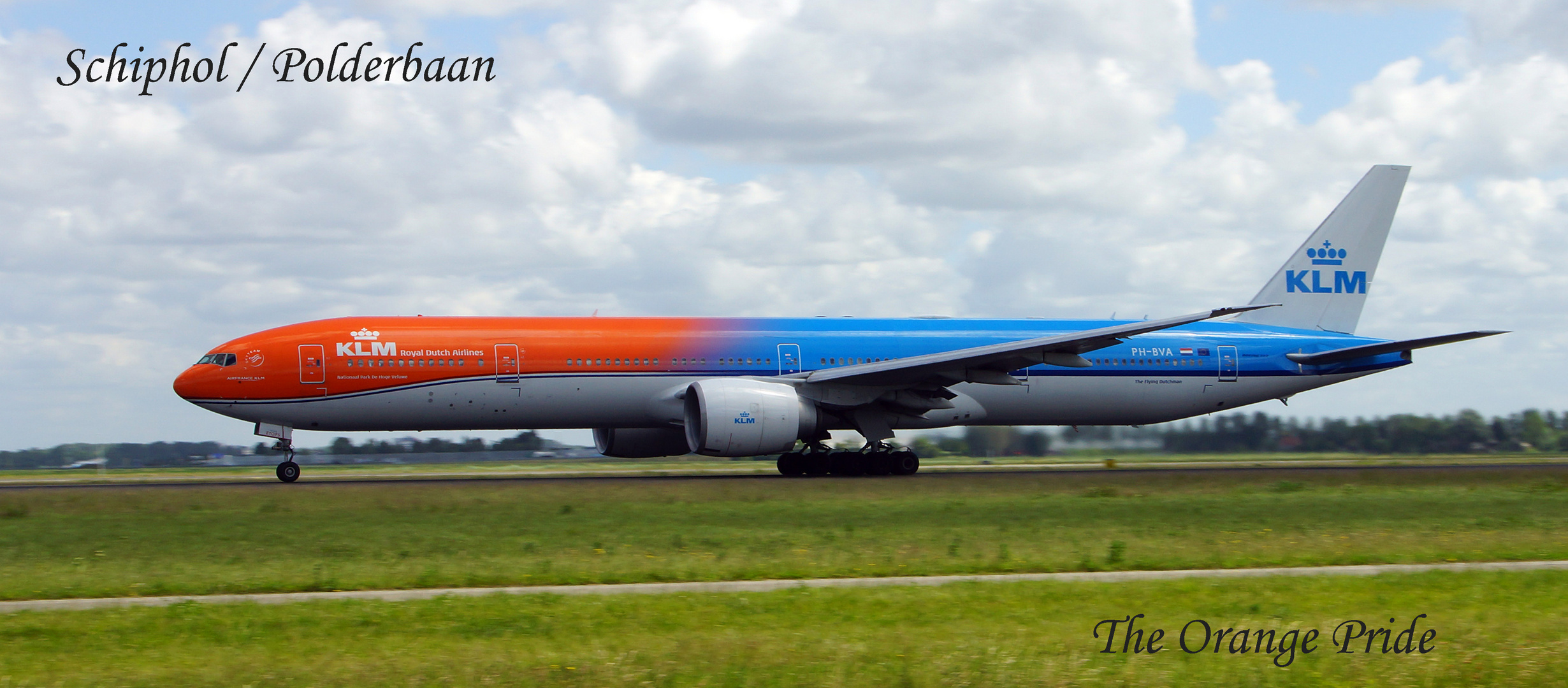 KLM / ROYAL DUTCH AIRLINES