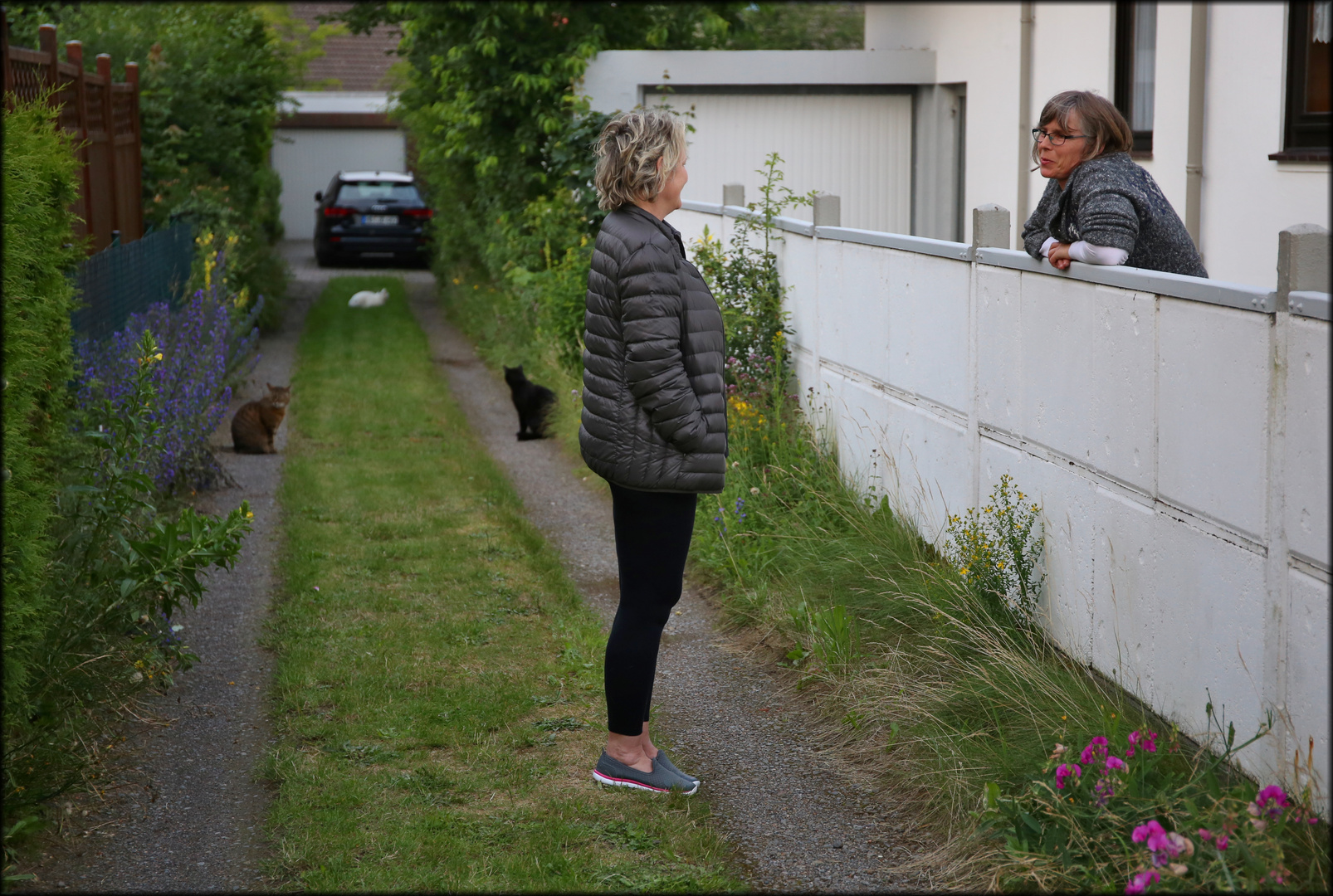 klönsnak mit Kater