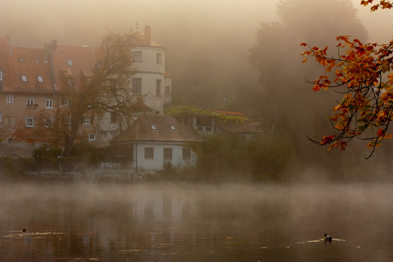 Klösterl im Nebel