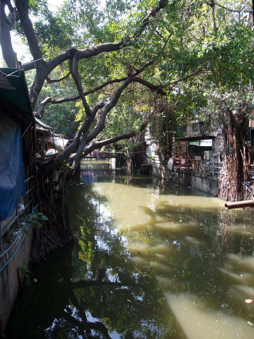 Klong in China Town, Bagkok