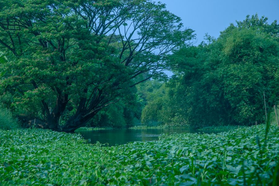 Klong in Minburi to Lat Krabang