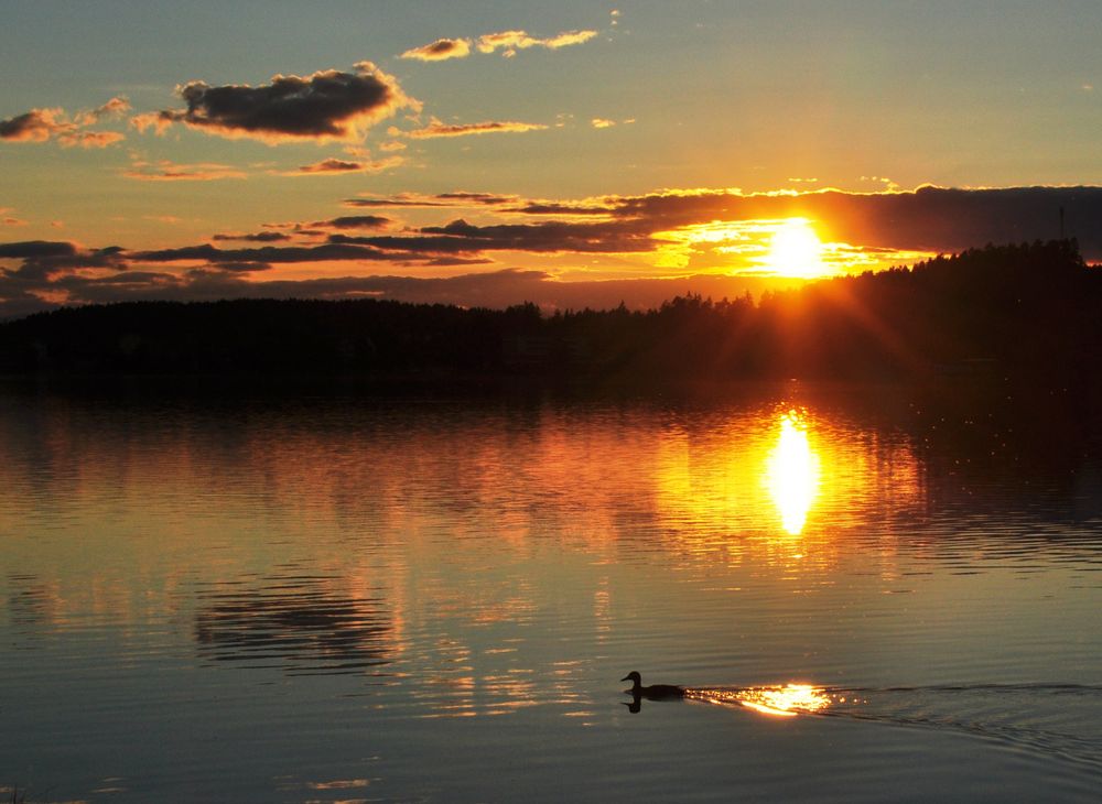 Klopeinersee