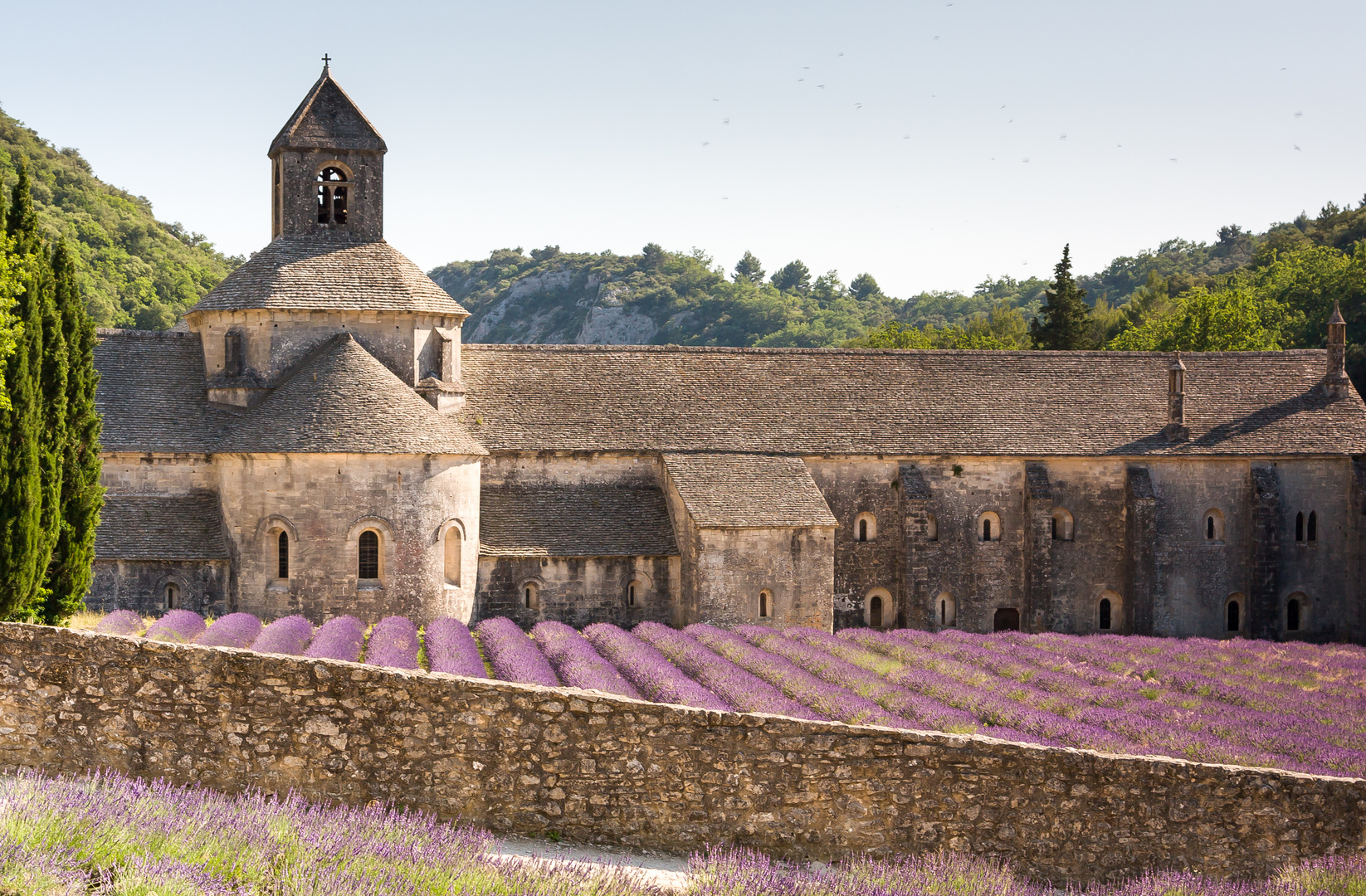 Kloster Abbaye de Senanque