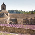 Kloster Abbaye de Senanque