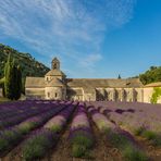 Kloster Abbaye de Senanque