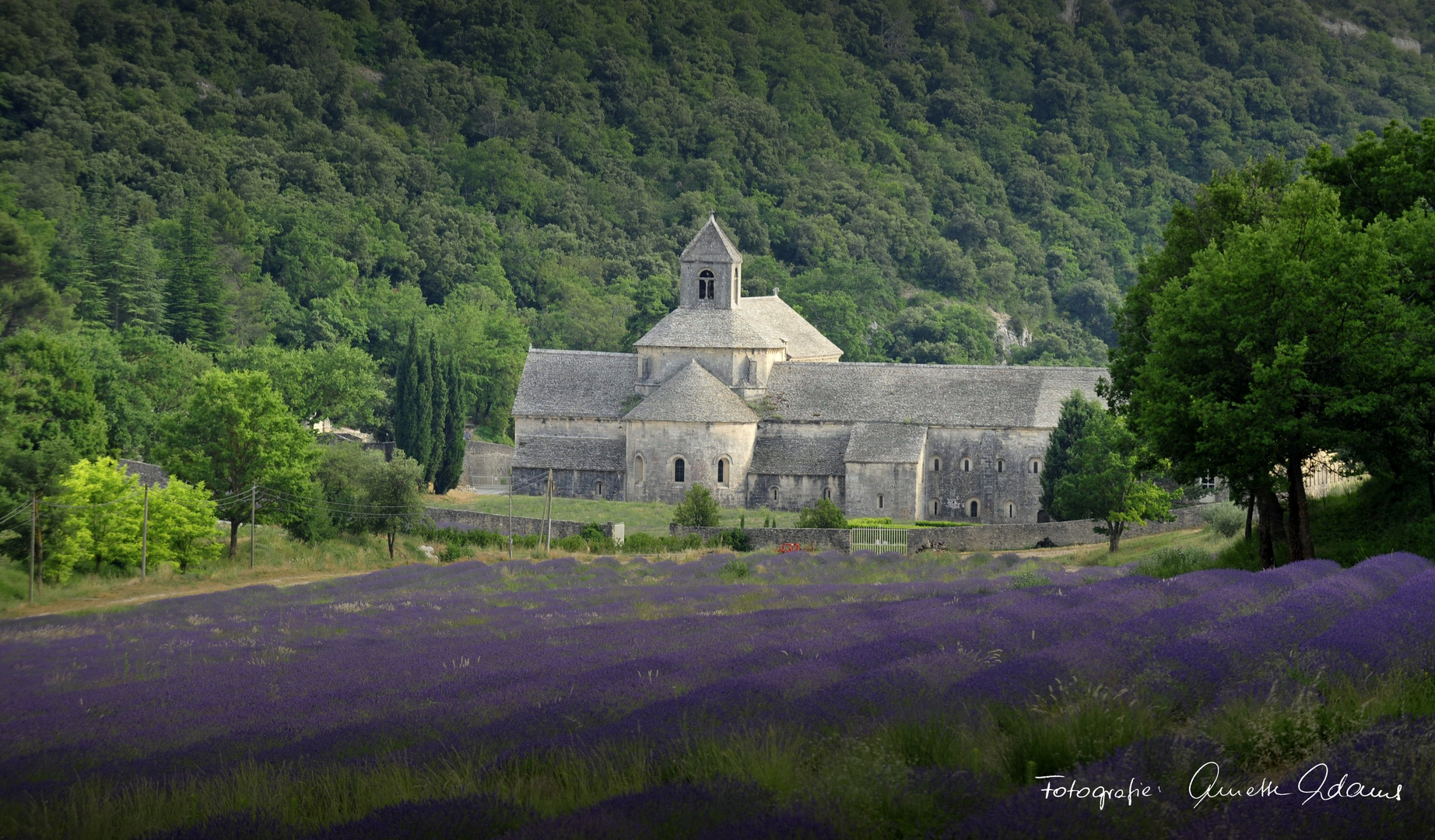 Kloster Abbaye de Senanque