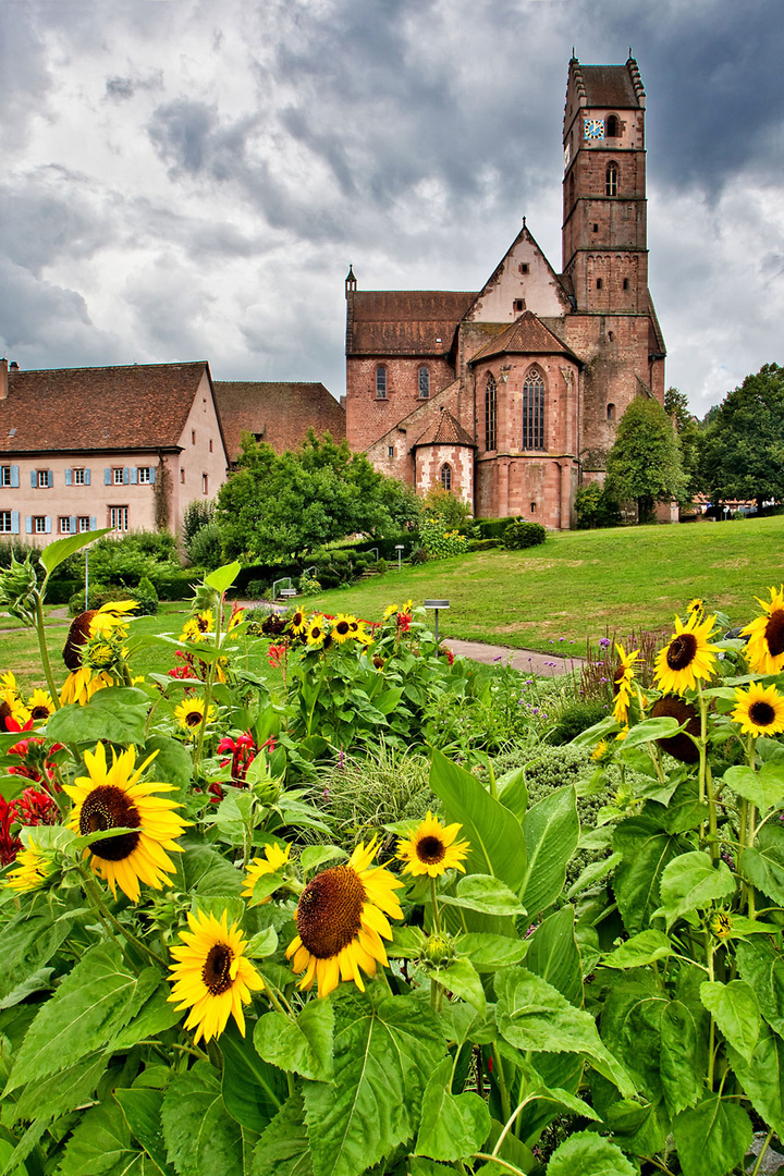 Kloster Alpirsbach 