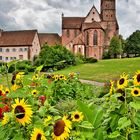 Kloster Alpirsbach 