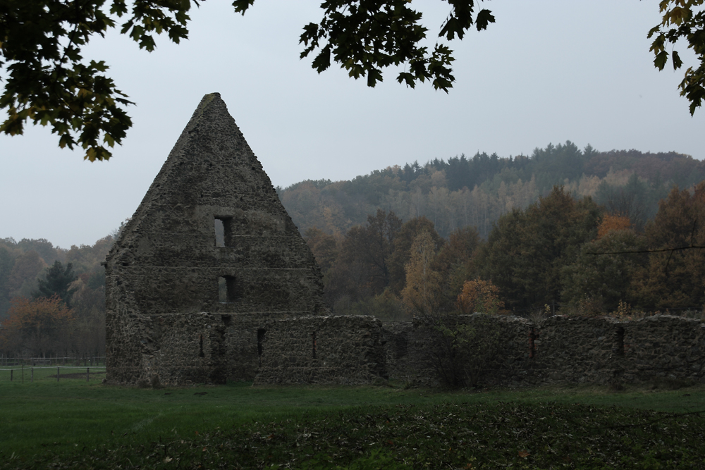 Kloster Altzella