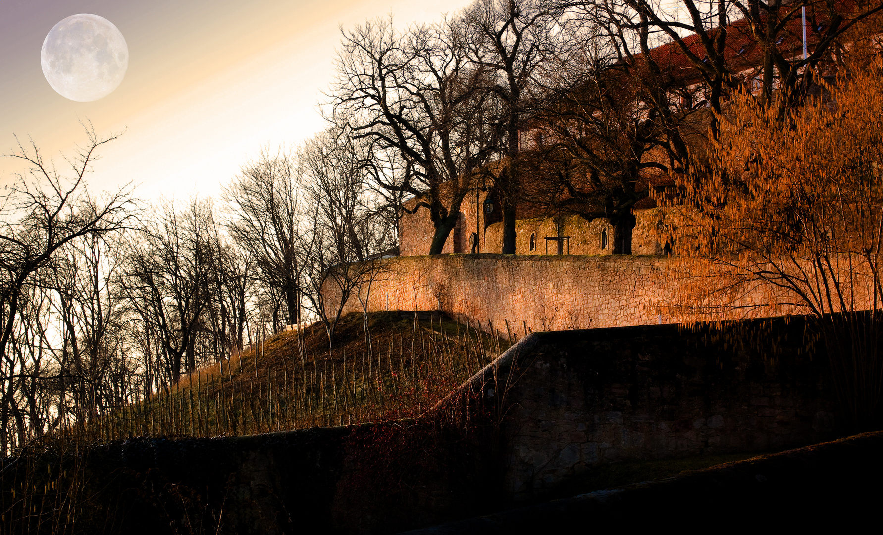 Kloster am Frauenberg in Fulda