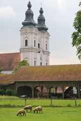 Kloster am INN II