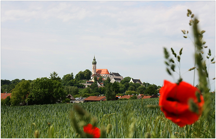 kloster andechs - "durch die blumen gesehen"